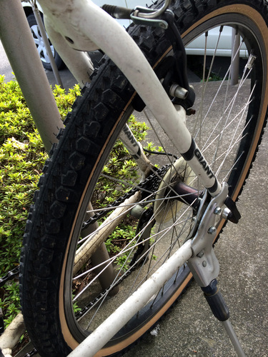 repair bike.jpg